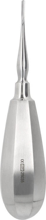 Dźwignia korzeniowa Bein 2 mm