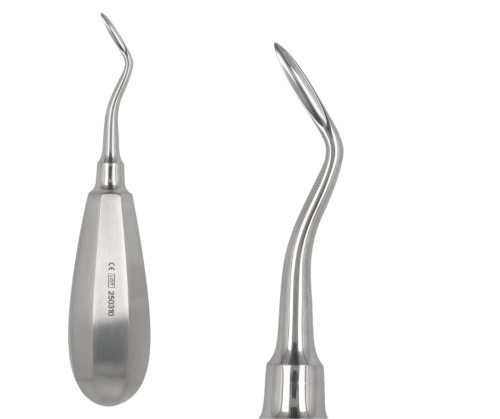 Dźwignia korzeniowa Bein Prawa | POLYDENT