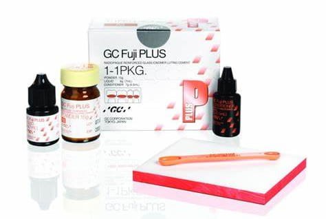 Fuji Plus |GC | 1-1