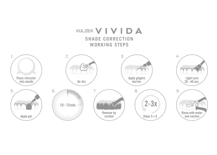 Vivida Office Starter
