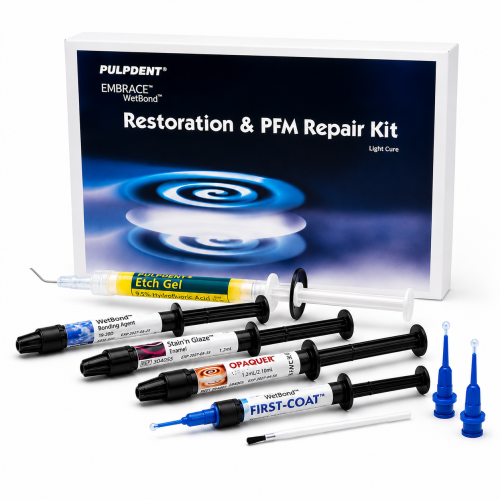 Embrace Restoration PFM Repair Kit