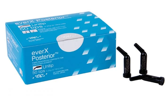 everX Posterior