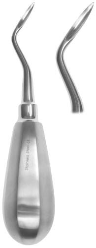 Dźwignia korzeniowa Bein lewa.jpg