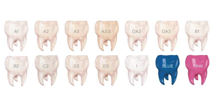 NEXT – światłoutwardzalny uniwersalny kompozyt